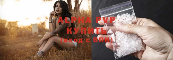 молекула духа Арсеньев