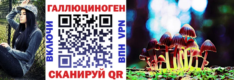 shop официальный сайт  OMG ссылка  Армянск  Псилоцибиновые грибы GOLDEN TEACHER 